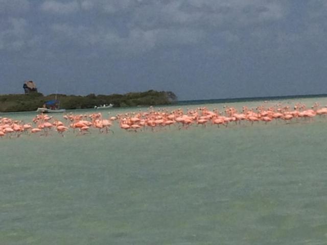 Hostal Holbox Buitenkant foto